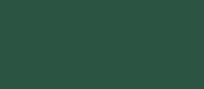 RAL 6028 - pine green ( зеленая сосна )