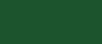 RAL 6035 - pearl green ( перламутр зеленый )