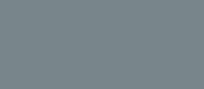 RAL 7000 - squirrel grey ( серая белка )