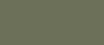 RAL 7003 - mass grey ( серый мох )