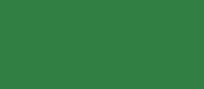 RAL 6032 - signal green ( зеленый сигнальный )